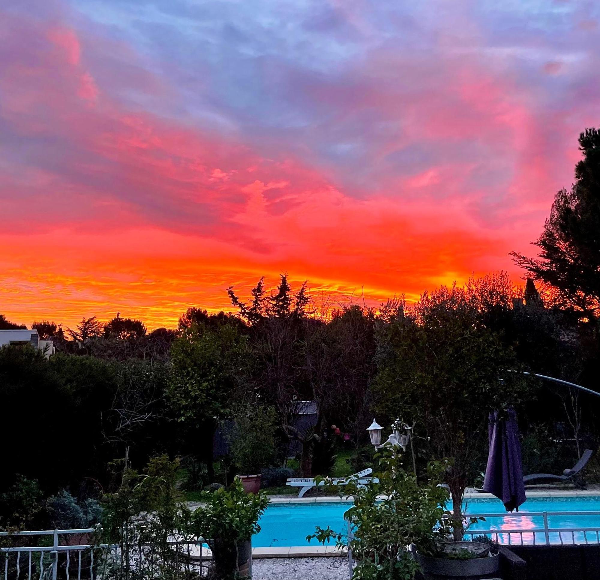 Les Pinsons Lägenhet La Ciotat Exteriör bild